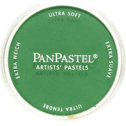 PanPastel ArtistsÂ Painting Pastel Permanent Green Shade, 640.3